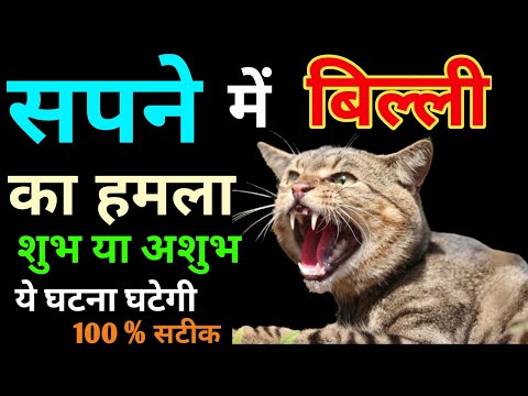 Seeing a cat attacking in a dream | Seeing cats in a dream | #Cat_Dream