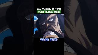 원피스) 당시 독자들도 충격이었던 루피와 카이도의 첫만남