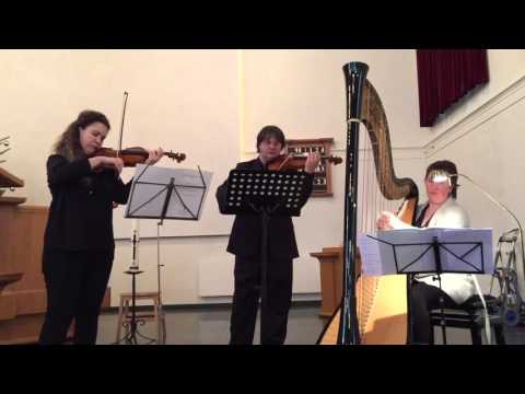 Bach: Concerto for violin and oboe