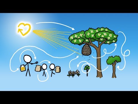 How Our Honey is Made (& Subbable announcement)