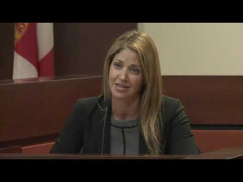 Dan Markel murder: Wendi Adelson, Markel's ex-wife, testifies