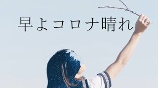 【替え歌】早よコロナ晴れ【ヨルシカ/ただ君に晴れ】