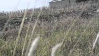 Somewhere down in texas