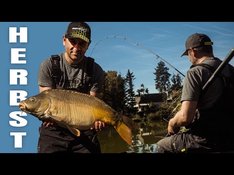 It's autumn - How to catch carp NOW