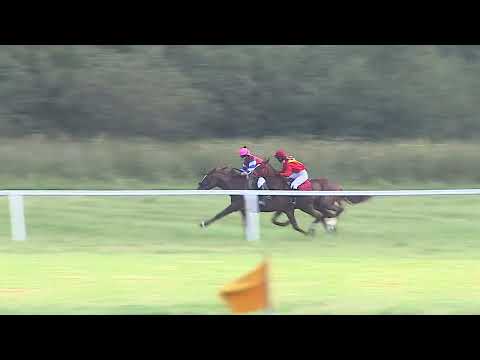 Dostihy Netolice 10. 8. 2025 - Dostih neregistrovaných koní