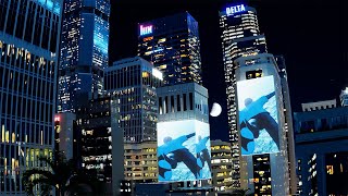 Obviously Lyrics English Translation