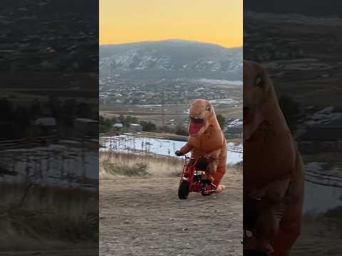 T-rex gets an FRP mini bike