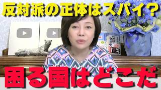 国家情報会議の創設に反対してデモをする人たち、ぶっちゃけ「他国のスパイ」なの？徹底解説します。【非公式日本保守党切り抜き】＃日本保守党  ＃保守党   ＃百田尚樹  #北村晴男  #有本香