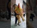 World's Biggest Chicken 🤯  #chicken #birds #rooster