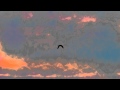Patrick O'Hearn-Gradual Understanding