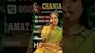 Download lagu Rabab DJ Pasisia voc Ita Chaniago mp3 Download lagu Rabab DJ Pasisia voc Ita Chaniago mp3