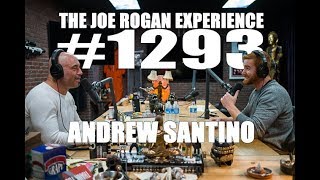 JRE 1293 - Andrew Santino
