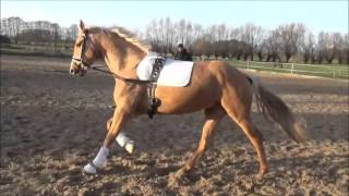 Video of Mephisto