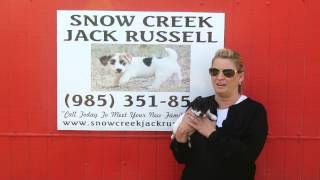 Amanada from Loranger LA Talks About Her New Jack Russell Puppy "Georgia"