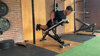 Chest Supported DB Rows