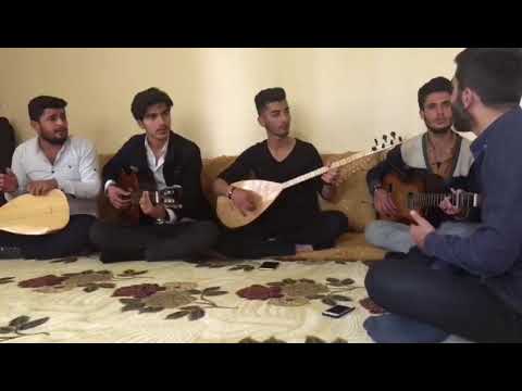 Rojgeş eniş hay davo