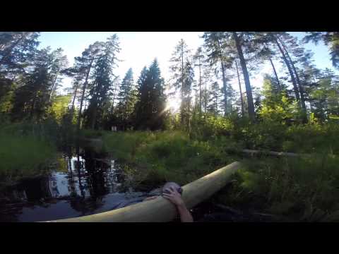 Stridshinderbanan AMF1 + skjutning [2015] (4 min version)