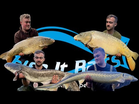 BIG FISH UK | BIG CARP UK | MASSIVE STURGEON UK | UK CATFISH | Fish It Baits social