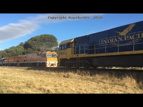 3XM4 - NR27-NR38 (PacNat Steel) Inverleigh X 2TA8 (Great Southern) - Australian Trains by Raysha1811