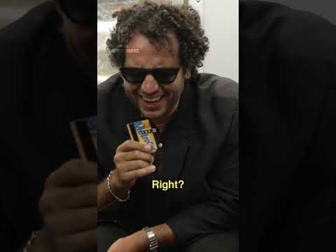 アメリカは犬を愛しすぎている #dogs #america #usa #nyc #talkshow (America loves dogs TOO MUCH #dogs #america #usa #nyc #talkshow)