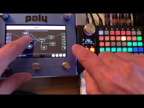 Empress Zoia VS Poly Beebo / Digit  -  part 2 - granular FX