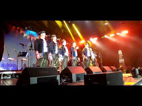 Aurea fest Zlatne žice Slavonije, Divandžije