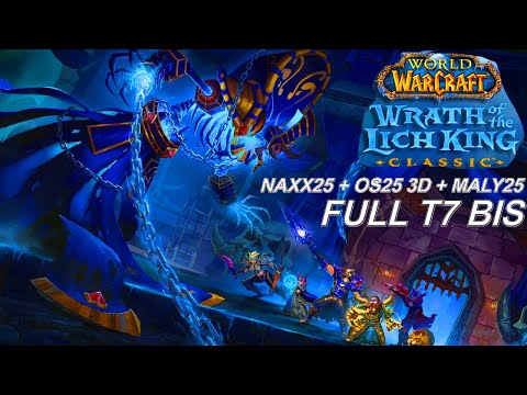 Affliction Warlock POV (Full Phase 1 BIS) Naxx25+OS25 3D + EoE25 Full Clear