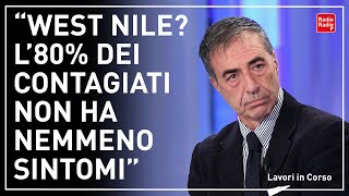 "EMERGENZA" WEST NILE, CICCOZZI ▷ "DIFFICILE CONTAGIARSI E VI SPIEGO I SINTOMI: MA QUALE ALLARMISMO!