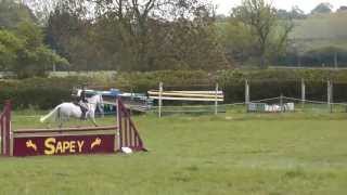 preview picture of video 'Tillyochie Show Jumping, Sapey ODE 90. Connemara cross thoroughbred.'