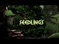 Seedlings Gameplay Walkthrough Part Demo FULL GAME No Commentary