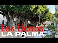La Palma Los Llanos De Aridane