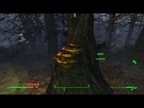 Fallout 4 - Far Harbor Survival Mode No Commentary Walkthrough Part 3