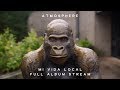 Atmosphere Mi Vida Local Full Album Stream