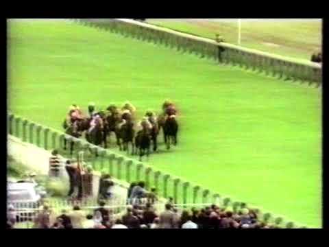 1976 William Hill Trophy Handicap