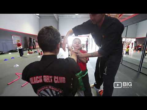 Red Dragon Martial Arts - 1