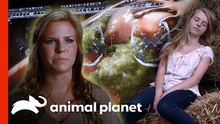 Life Threatening Teratoma Is Attacking a Teenage Girl's Brain | Monsters Inside Me by Animal Planet