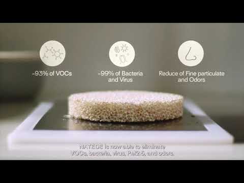 Natede by Vitesy, the most Amazing Smart Natural Air Purifier