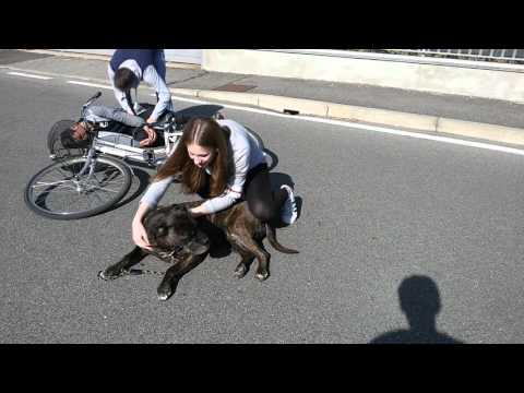 I casi della Vita: Luna