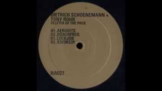Dietrich Schoenemann + Tony Rohr - R3v3rs3r