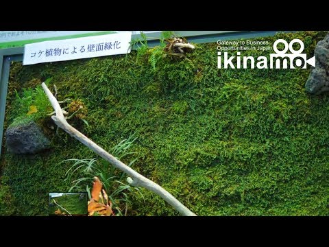 果樹のコケと地衣類：除去する必要がありますか?彼らの目標は何でしょうか？  庭園