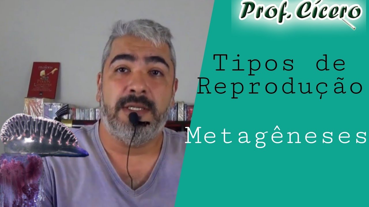 Metagênese - Tipos de Reprodução