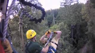 Zipline 2