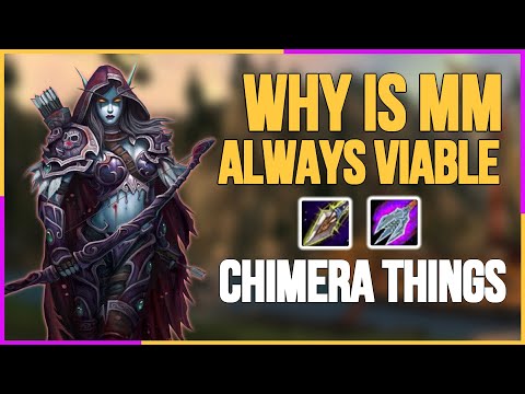 Scorpid disarm is insane ⚔️ MM Hunter PvP 3.3.5 / WotLK Classic 2022 - Warmane