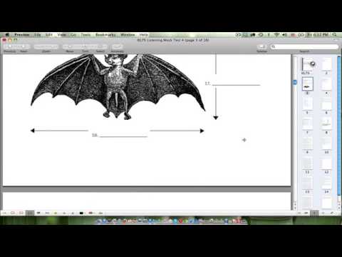 Try another mock IELTS Listening Test! (#4)