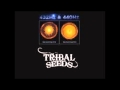 Tribal Seeds - Tulasi [432 Hertz] 