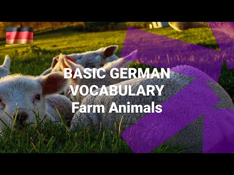 Basic German Vocabulary What Are the Numbers One to Ten in German