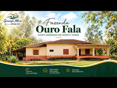 Fazenda à venda | Fazenda Ouro Fala | Santa Bárbara do Monte Verde