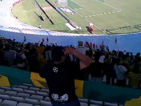 tiburon QUE PUTOS QUE SON RAVN