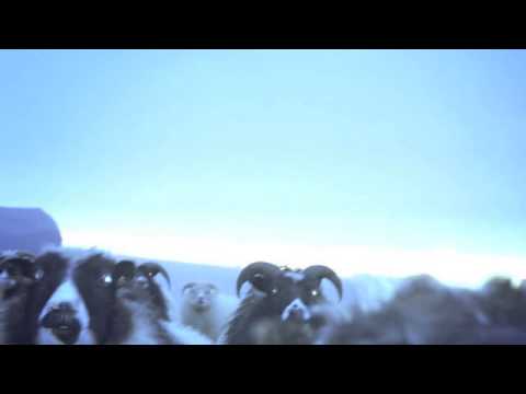 Four Tet - Lion (Jamie xx Remix)