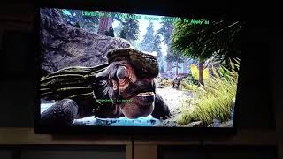Ark admin how to spawn megachelon